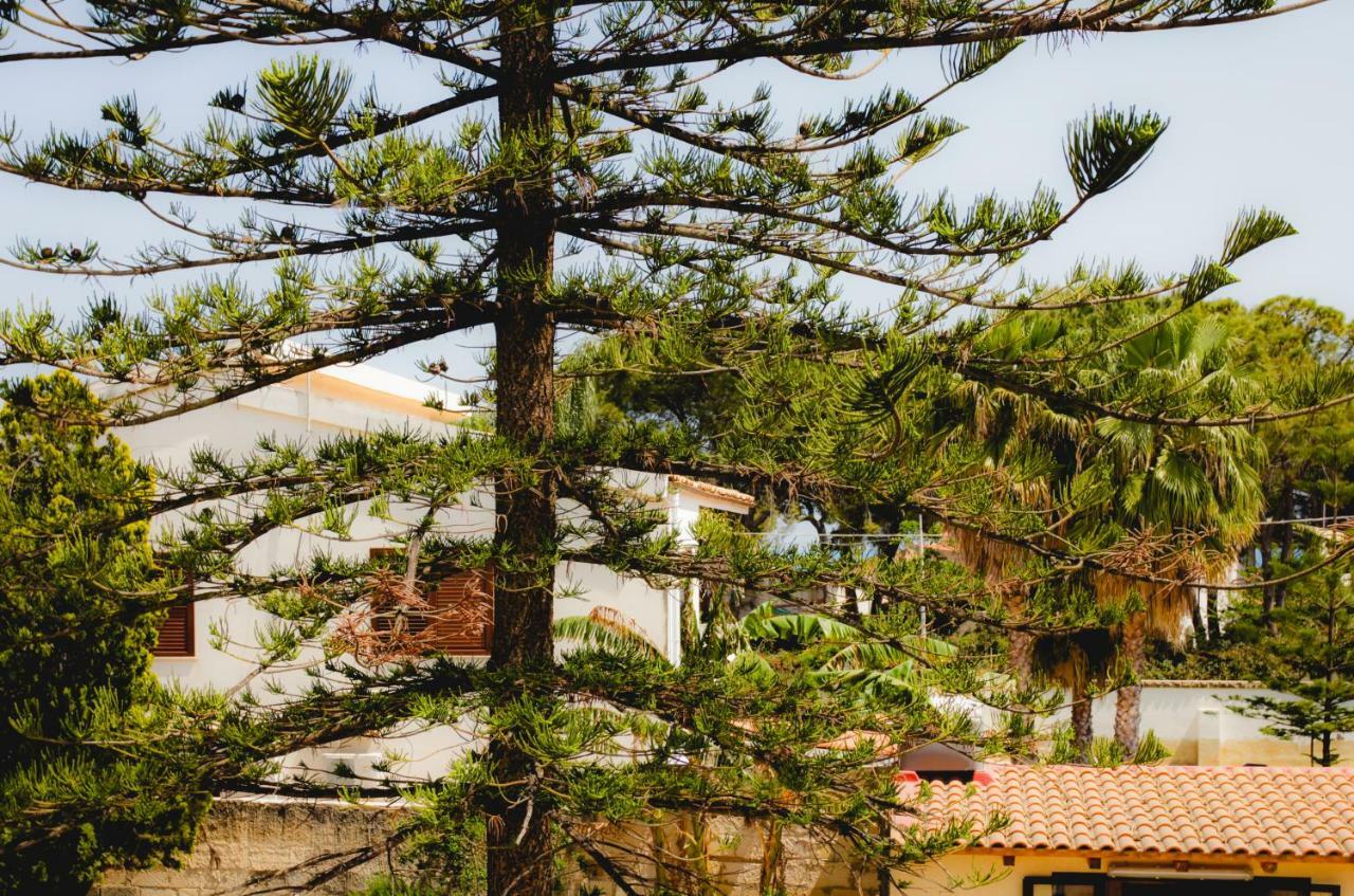 A 150 Metri Dal Mare Apartamento *